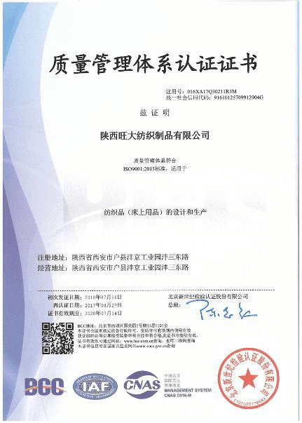 ISO 9001 质量管理体系